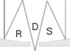 rds-logo